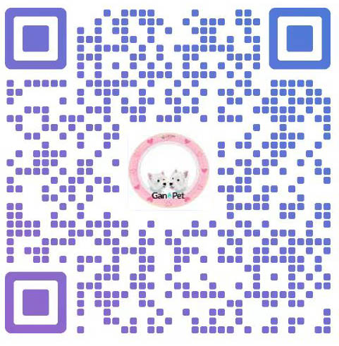 宠芝宝客服微信