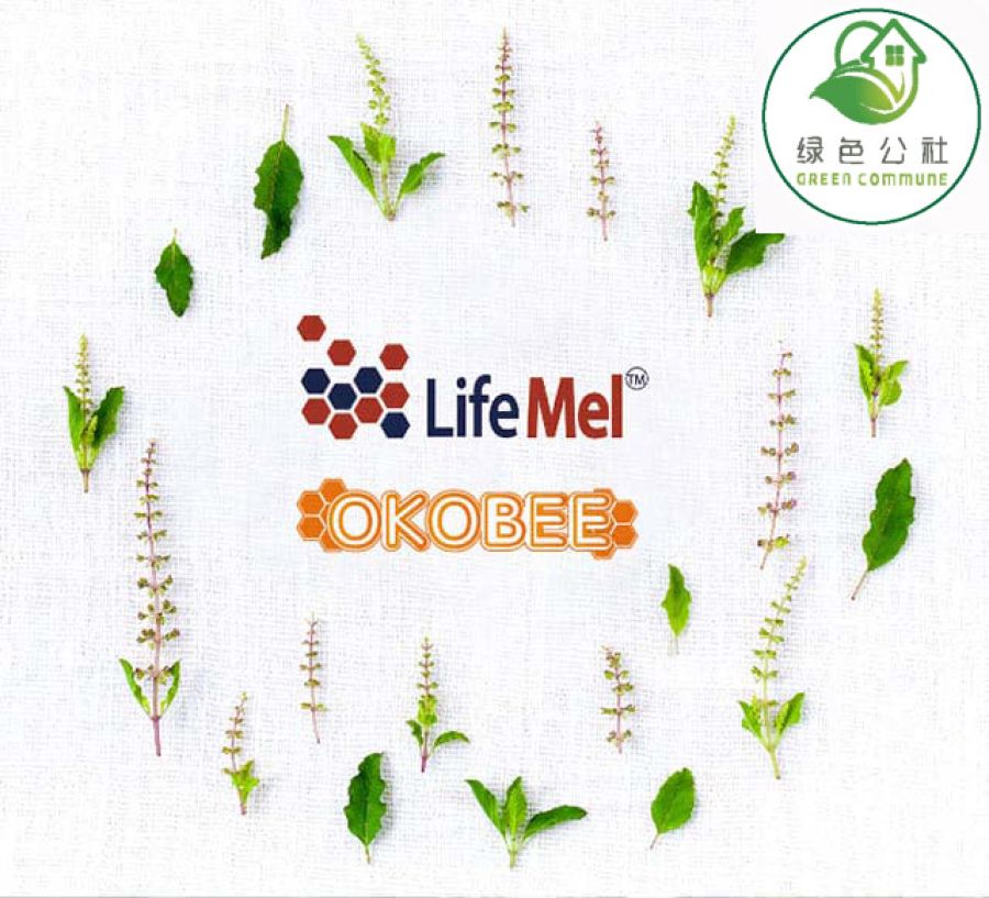绿色公社OKOBEE草本蜂蜜全球首创